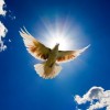 Международная научно-богословская конференция «Дух Святой: история, богословие, практика»