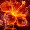 Ежегодная женская конференция «Духом пламенейте!»